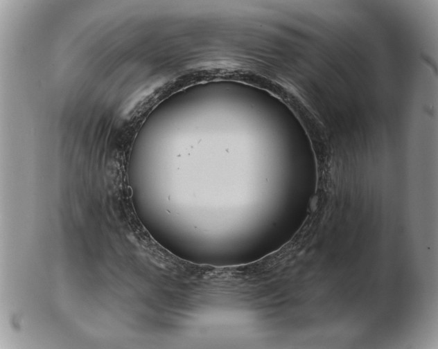 X0000102820967200808251107