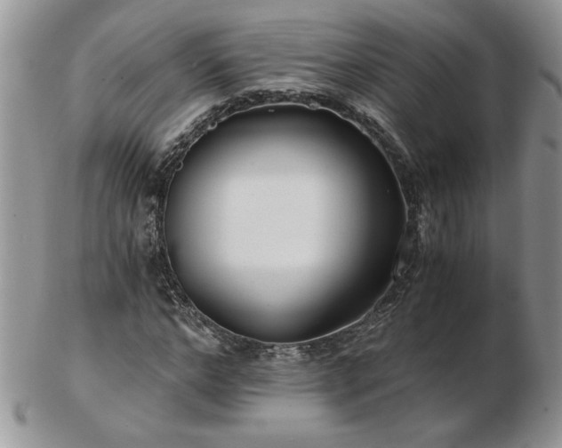 X0000102820968200808251107