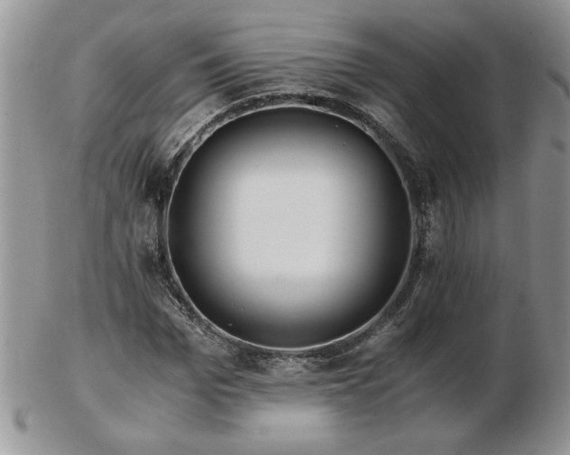 X0000102820969200808251107