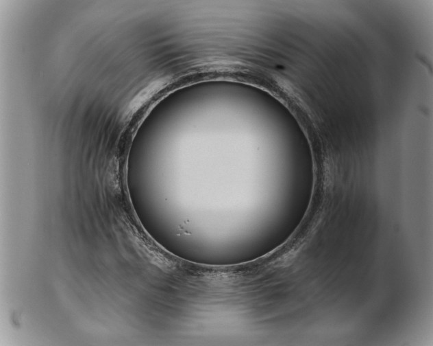 X0000102820970200808251107
