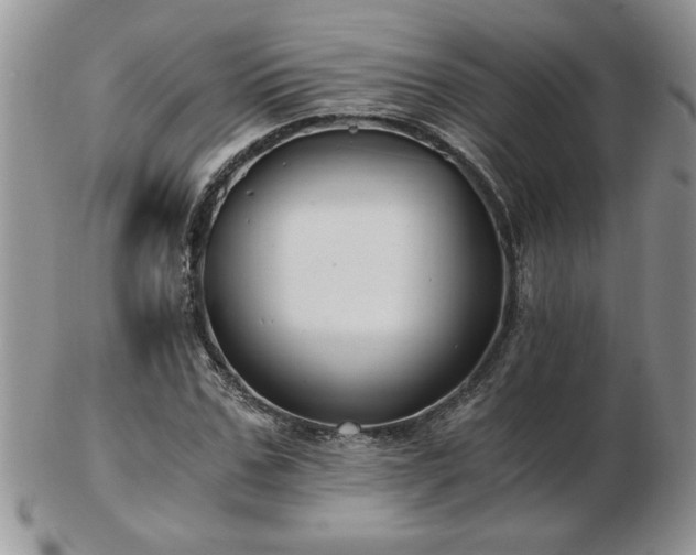 X0000102820971200808251107