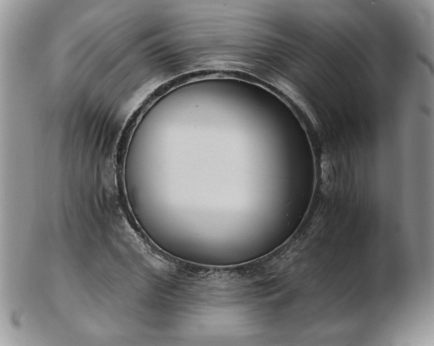 X0000102820972200808251107