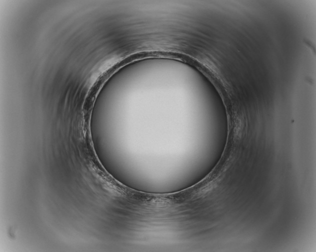 X0000102820974200808251107
