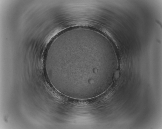 X0000102820975200808251107