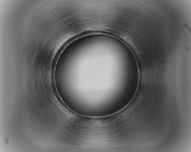 X0000102820976200808251107