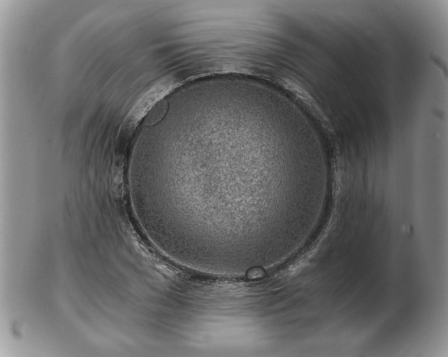 X0000102820977200808251107