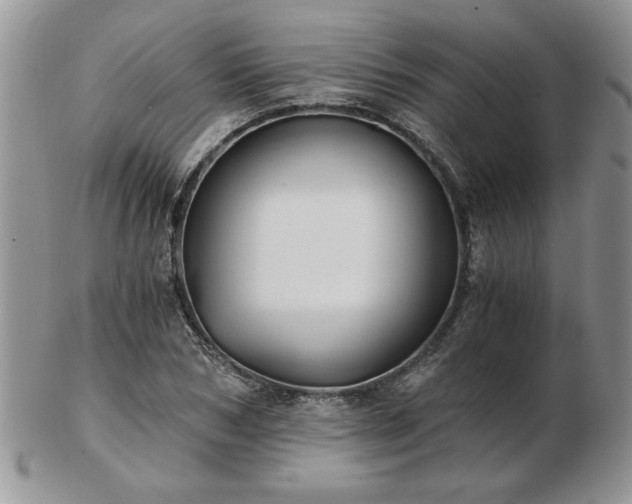 X0000102820978200808251107