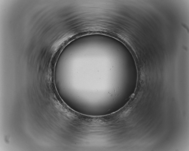 X0000102820979200808251107
