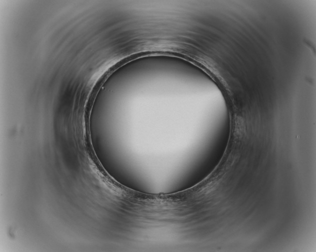 X0000102820980200808251107