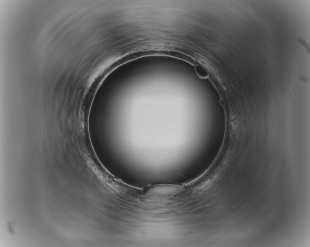 X0000102820981200808251107
