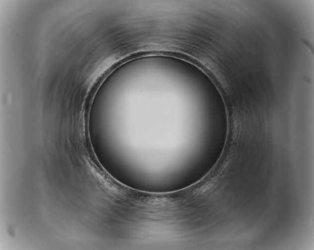 X0000102820982200808251107