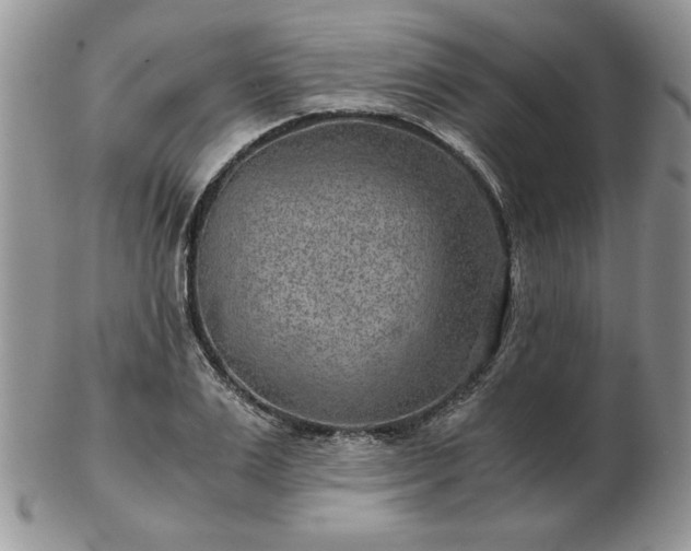X0000102820983200808251107