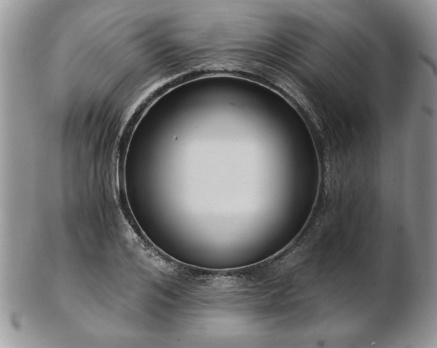 X0000102820984200808251107