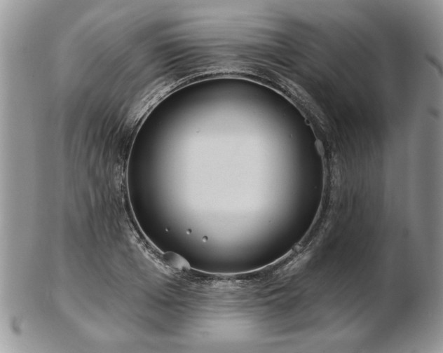 X0000102820985200808251107