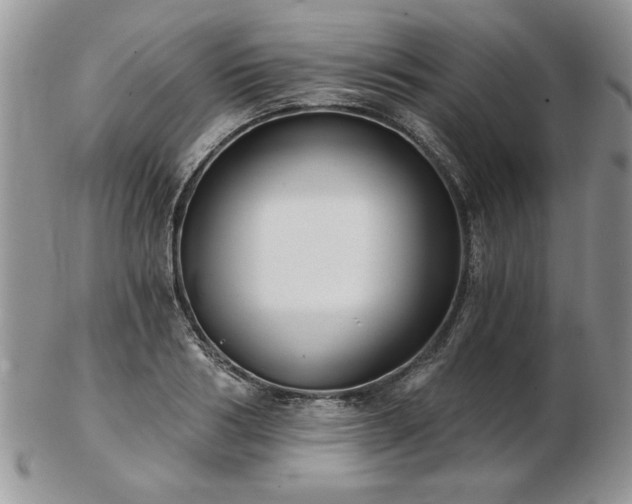 X0000102820986200808251107