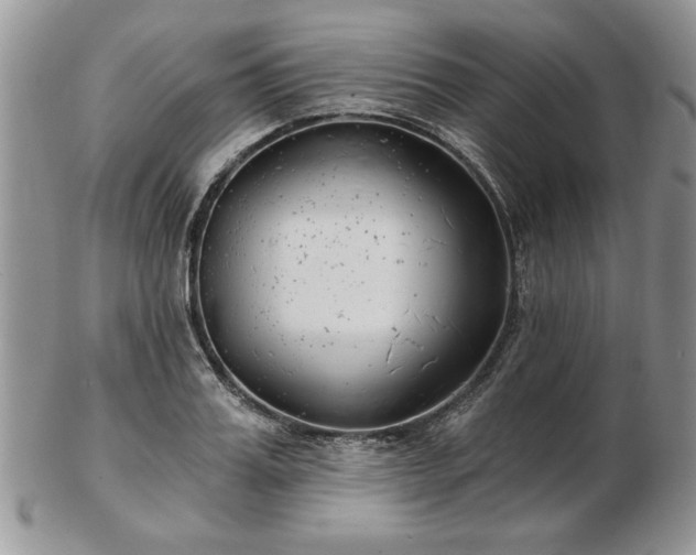 X0000102820987200808251107