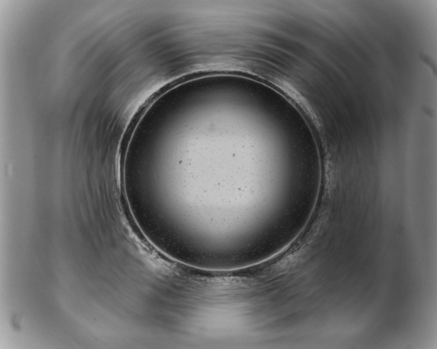 X0000102820988200808251107