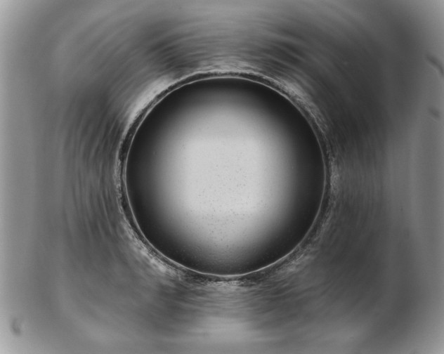 X0000102820990200808251106