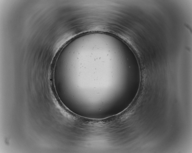 X0000102820991200808251106