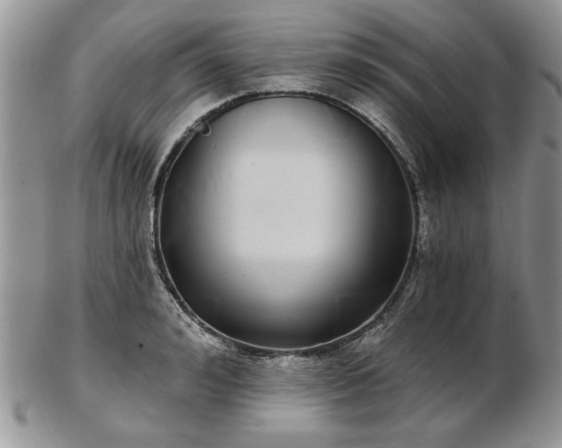 X0000102820992200808251106