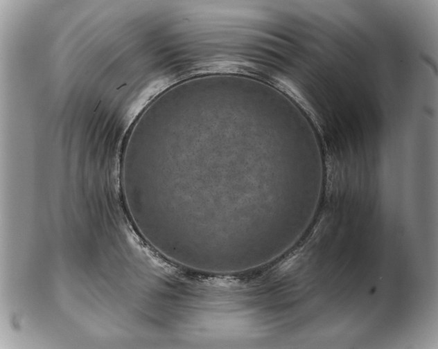 X0000102820994200808251106