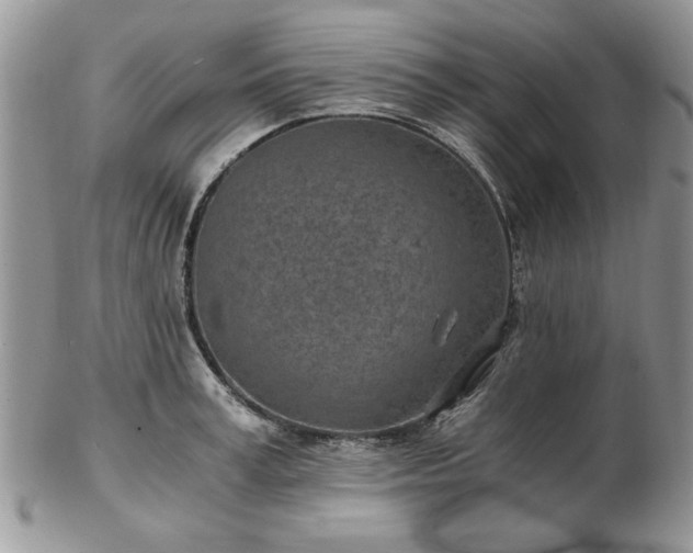 X0000102820995200808251106