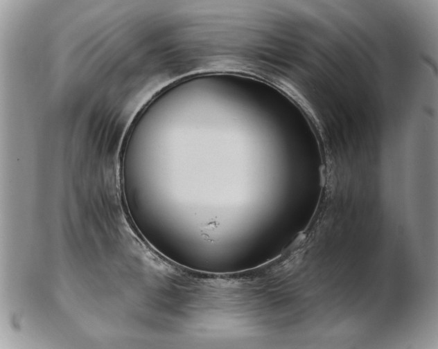X0000102820996200808251106
