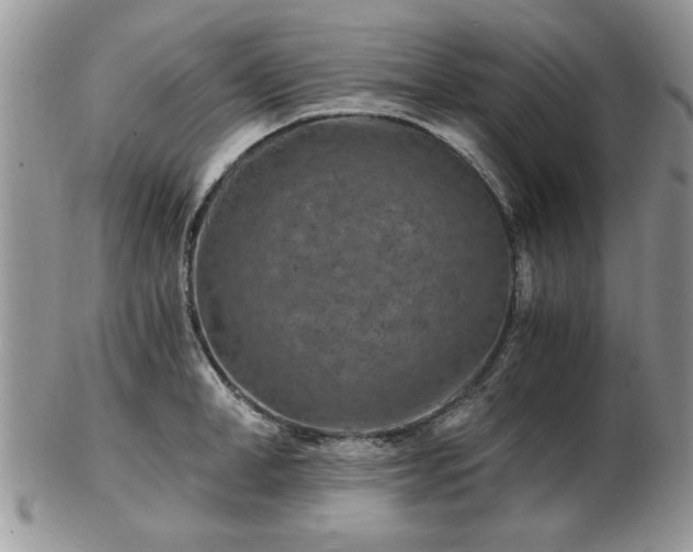 X0000102820998200808251106