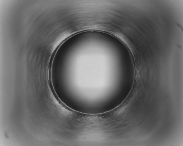 X0000102820999200808251106