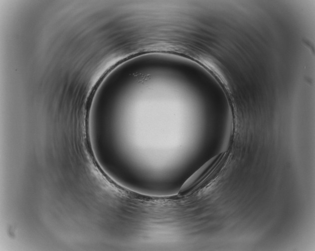 X0000102821000200808251106