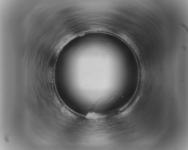 X0000102821001200808251106