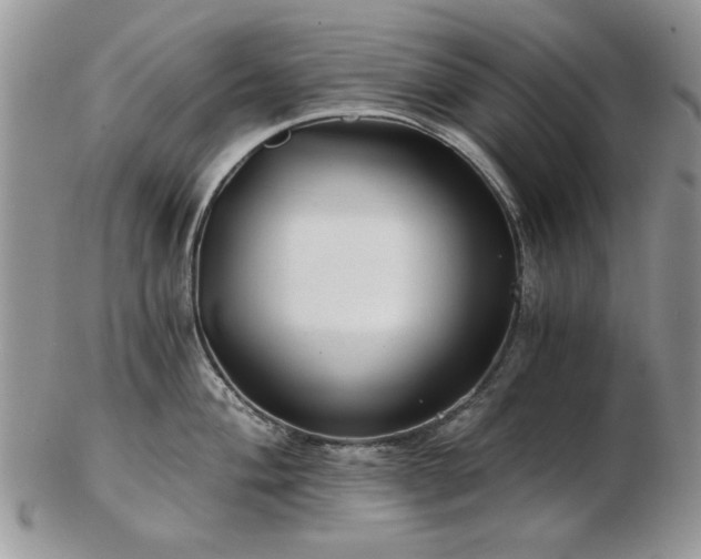 X0000102821004200808251106