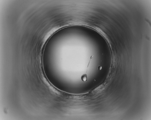 X0000102821005200808251106