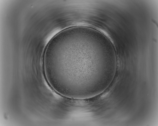 X0000102821007200808251106