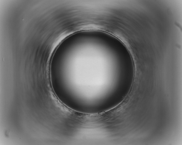 X0000102821008200808251106