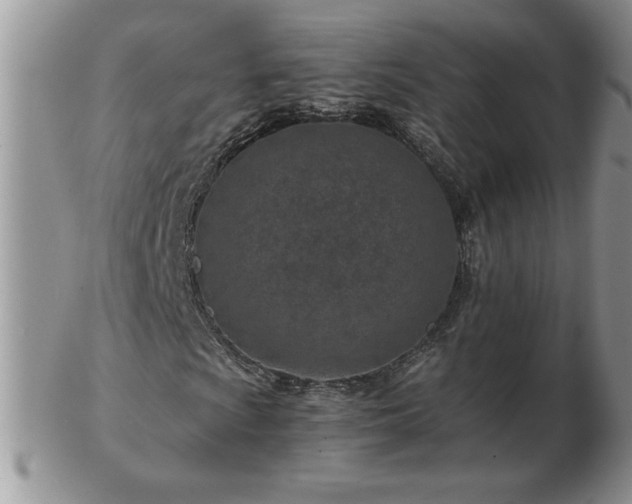 X0000102821009200808251105