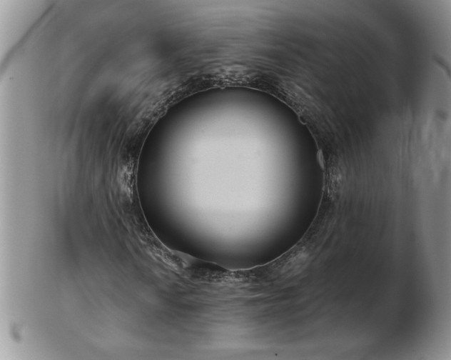X0000102821010200808251105