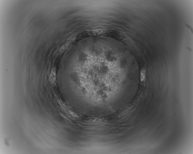 X0000102821011200808251105
