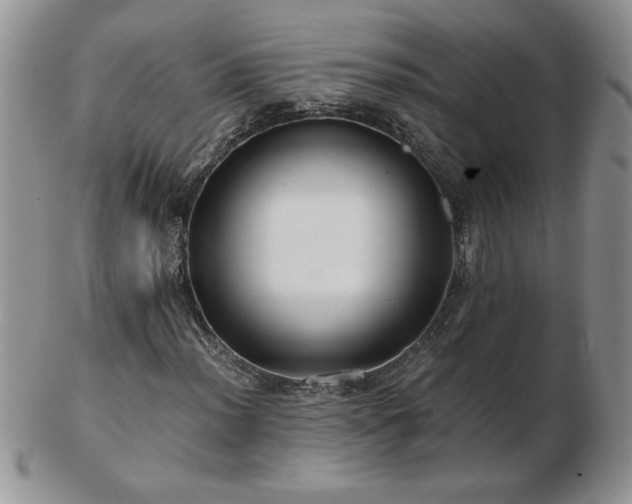 X0000102821012200808251105