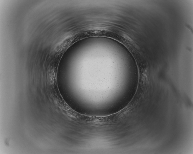 X0000102821014200808251105