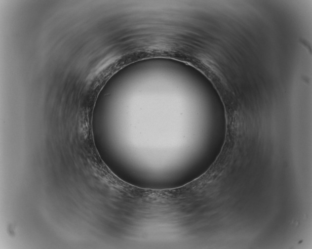 X0000102821015200808251105