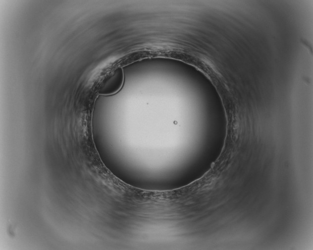 X0000102821016200808251105