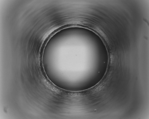 X0000102821020200808251105