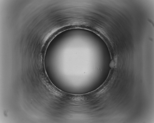 X0000102821021200808251105