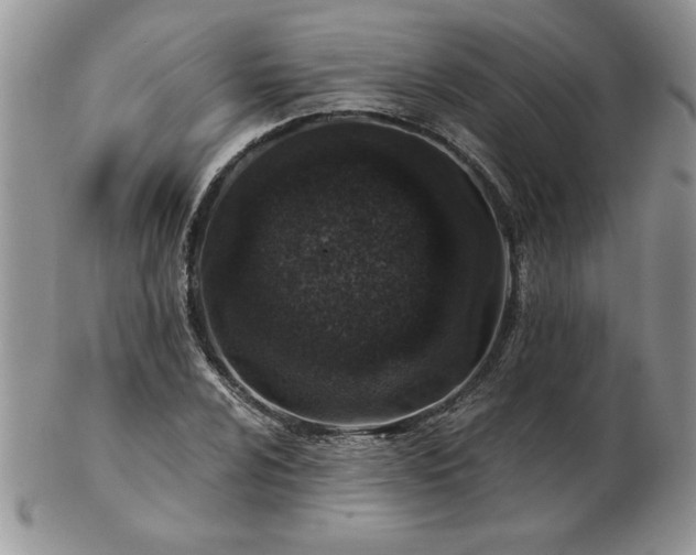 X0000102821024200808251106