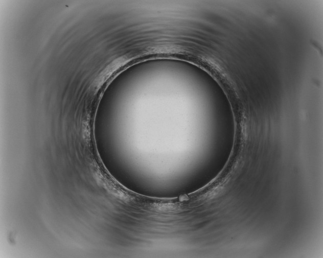 X0000102821025200808251106