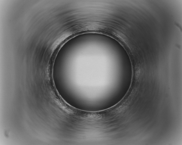 X0000102821026200808251106