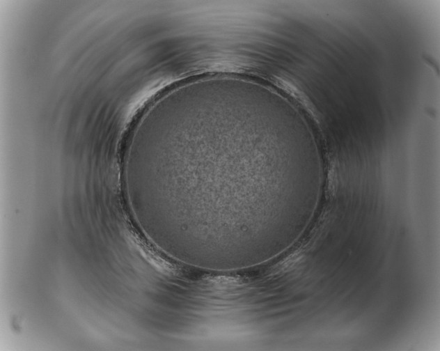 X0000102821027200808251106