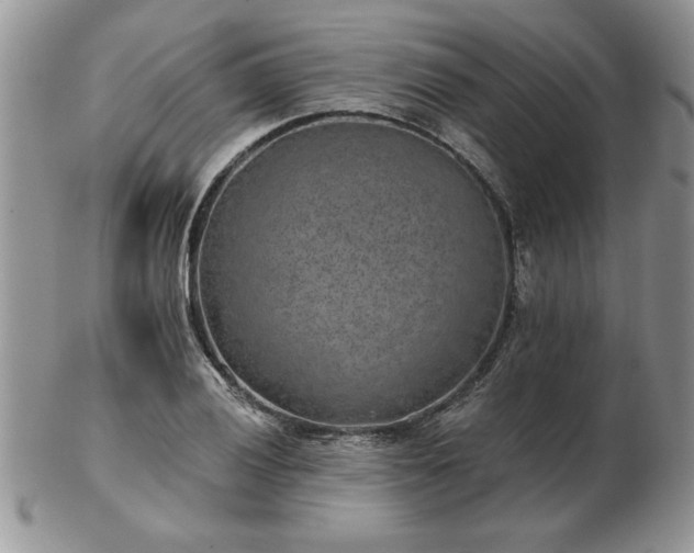 X0000102821028200808251106