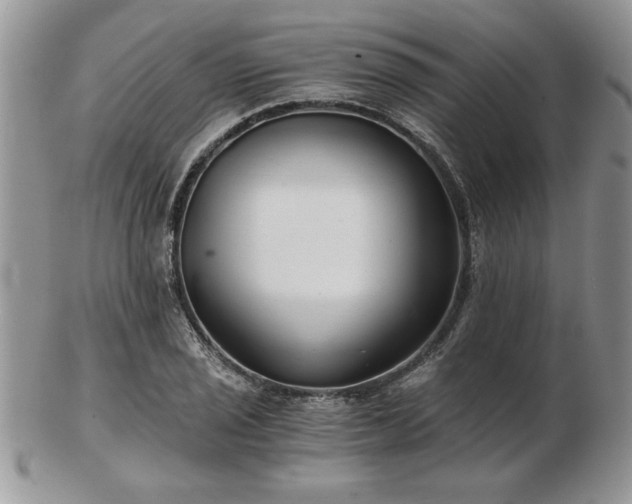 X0000102821029200808251106